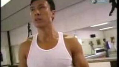 Биография Донни Йена (Donnie Yen)