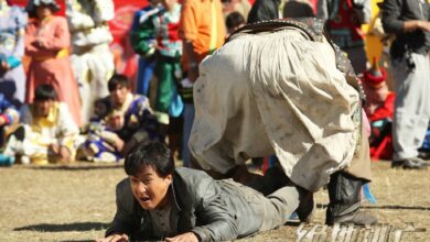 Тизер фильма "По следу" (Skiptrace) с Джеки Чаном и Джонни Ноксвиллом 1