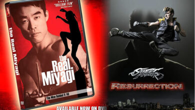 "Настоящий Мияги" на DVD + трейлер "Street Fighter: Resurrection"