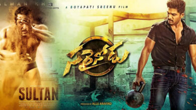 Трейлеры из Болливуда: "Sultan" и "Sarrainodu"